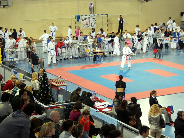 Karate turnir Nippon top ten 2013