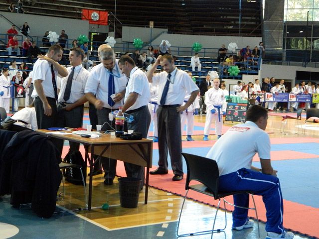 Trofej Beograda u karateu 2013