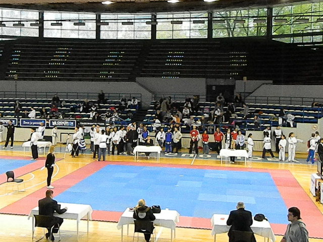 Serbia Poomsae Kwon Open 2013