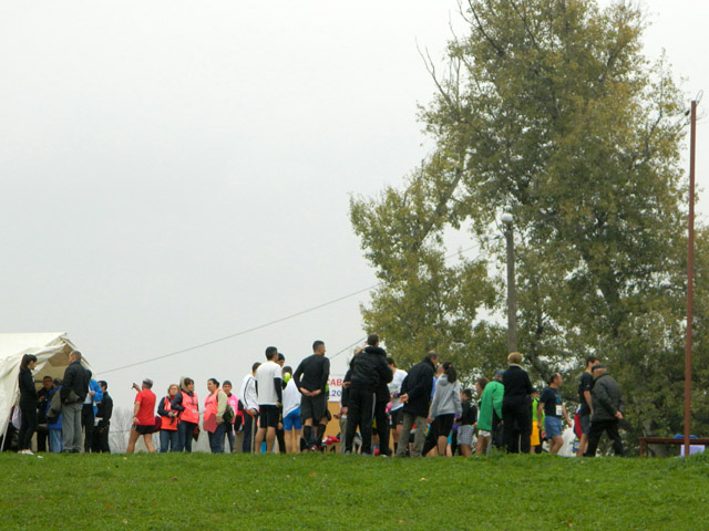 Savski polumaraton 2013