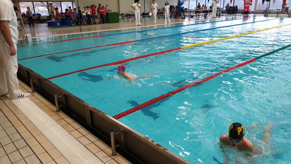 Plivački miting Bečejska zvezda 2018