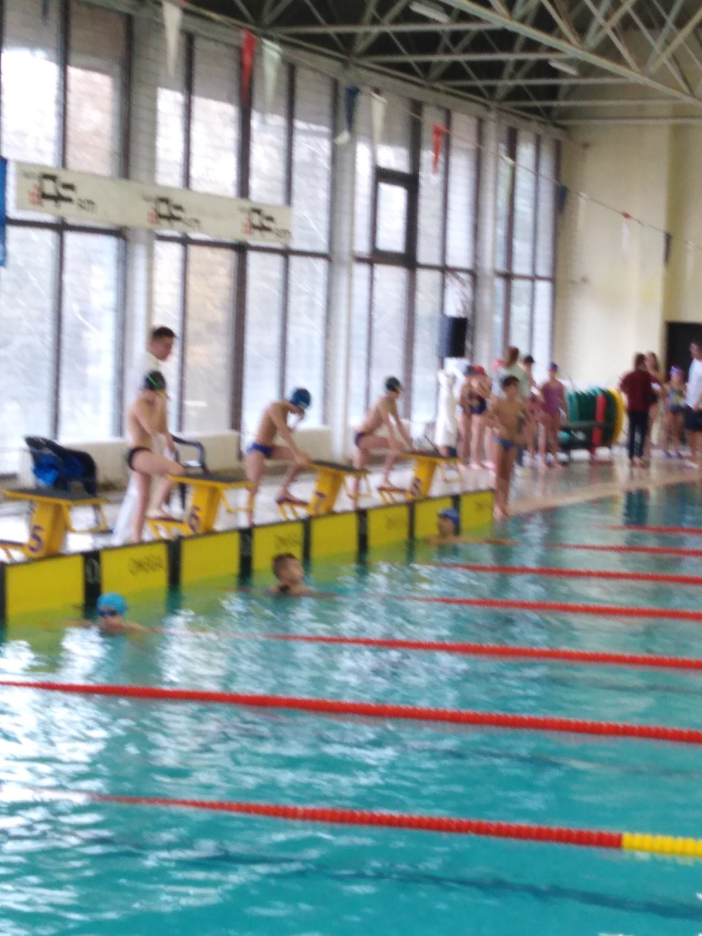 Plivački miting Bečejska zvezda 2019