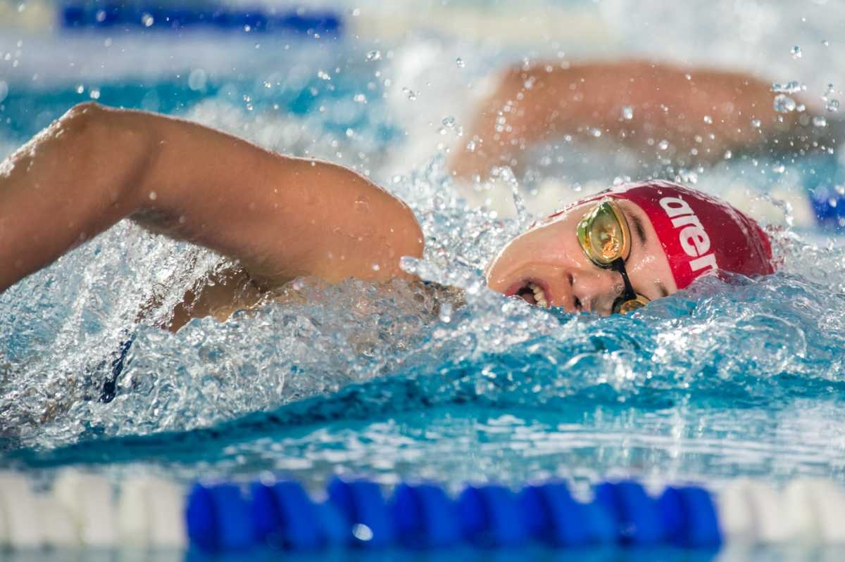 Beograd čeka nove plivačke medalje